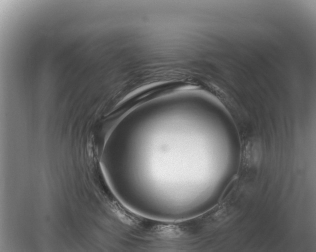 X0000080130424200612151743