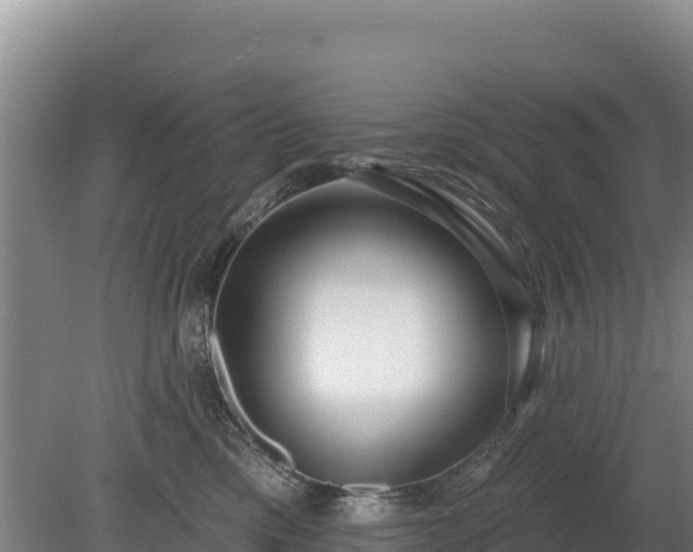 X0000080130425200612151743