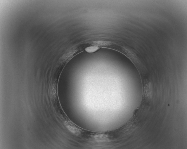 X0000080130426200612151743