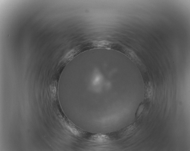 X0000080130427200612151743