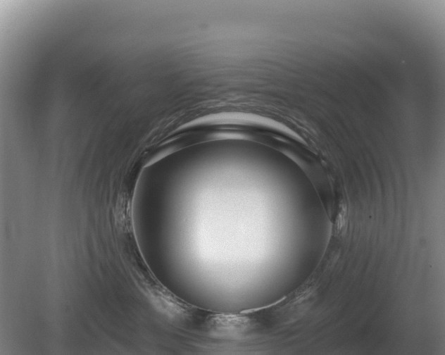 X0000080130429200612151743