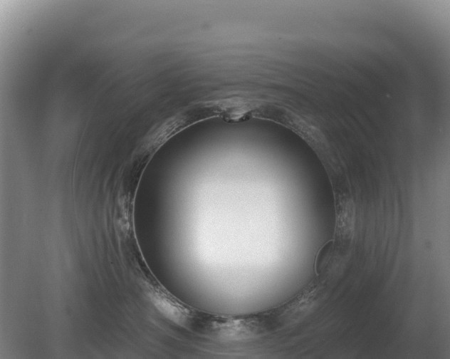 X0000080130430200612151743