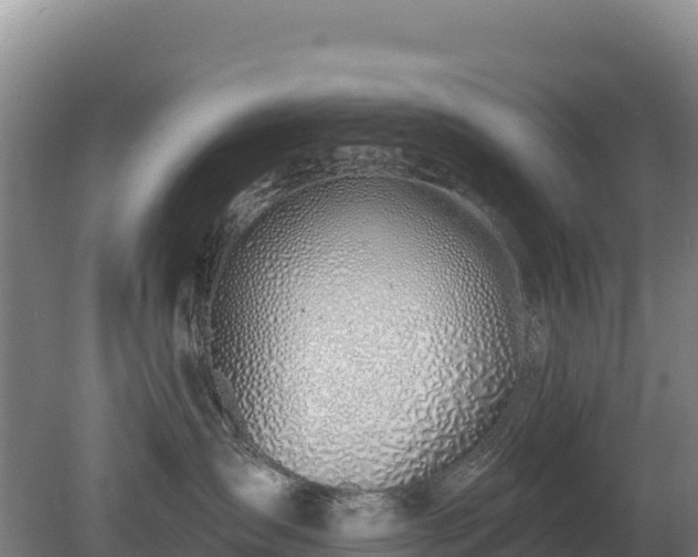 X0000080130431200612151743