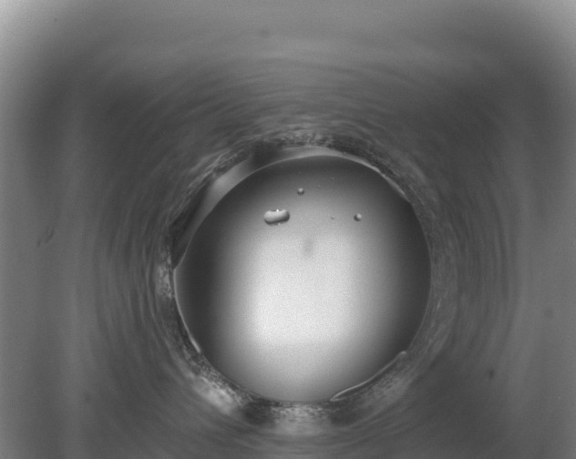 X0000080130432200612151743