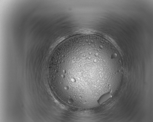 X0000080130433200612151742