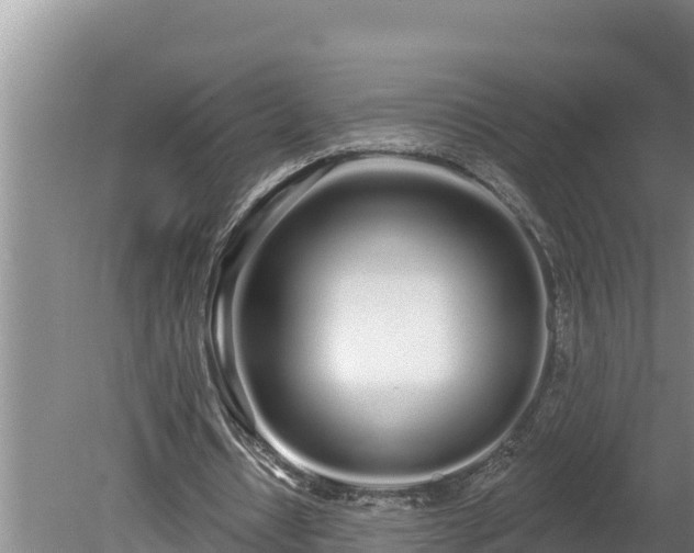 X0000080130434200612151742