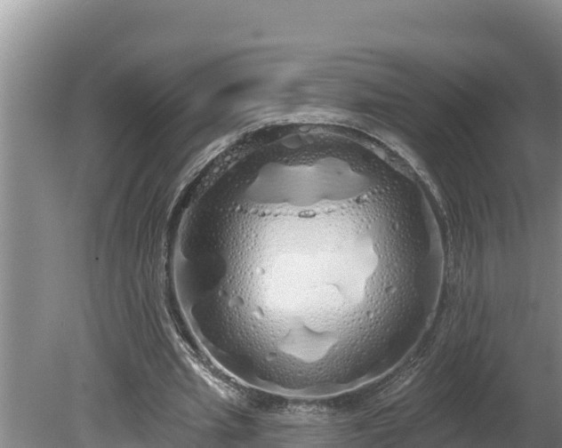 X0000080130437200612151742