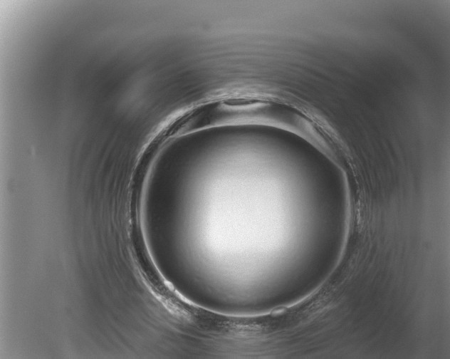 X0000080130438200612151742