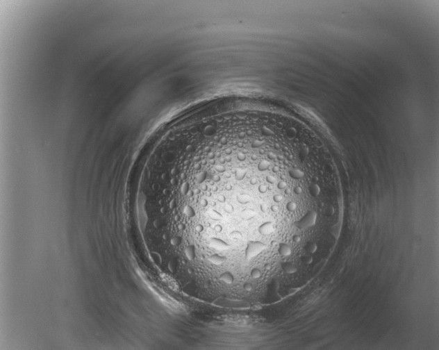 X0000080130439200612151742