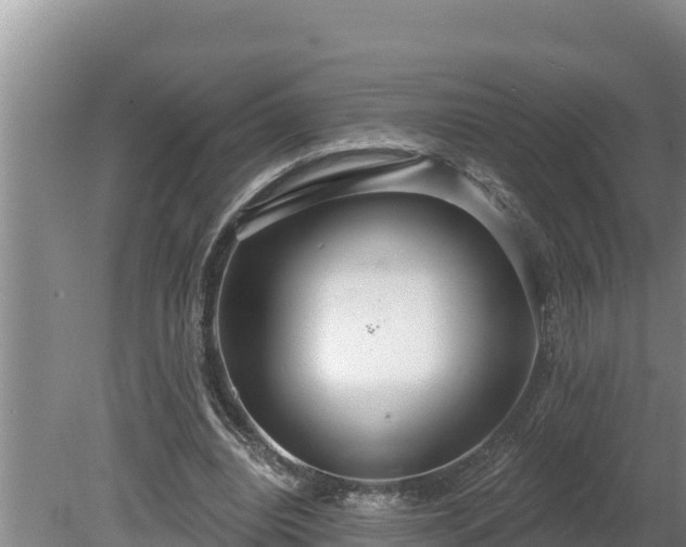 X0000080130440200612151742