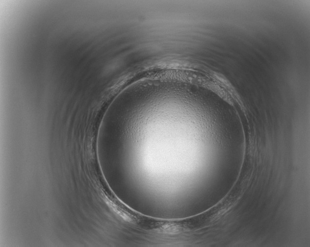 X0000080130441200612151742