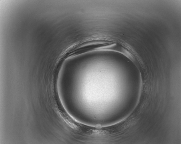 X0000080130442200612151742