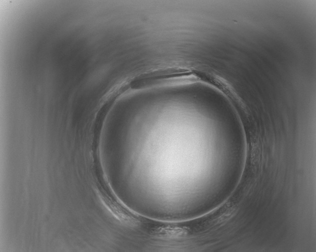 X0000080130443200612151742