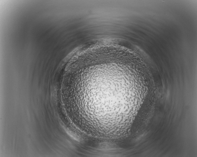 X0000080130444200612151742