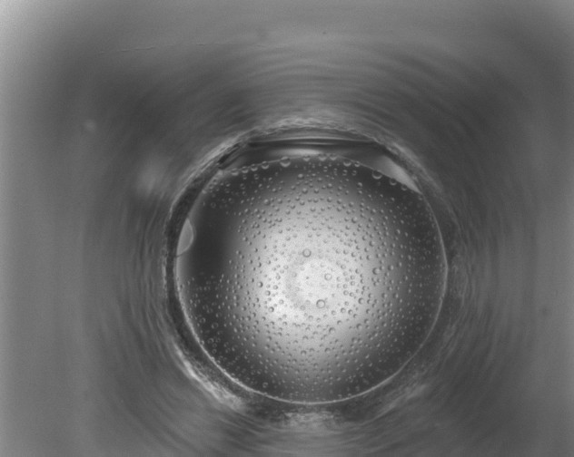 X0000080130446200612151743