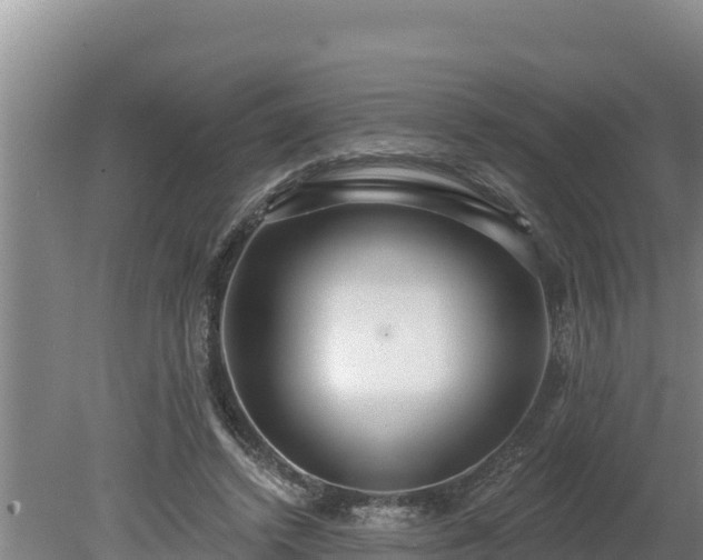 X0000080130448200612151743