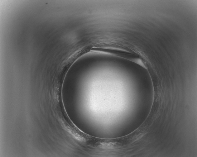 X0000080130450200612151743