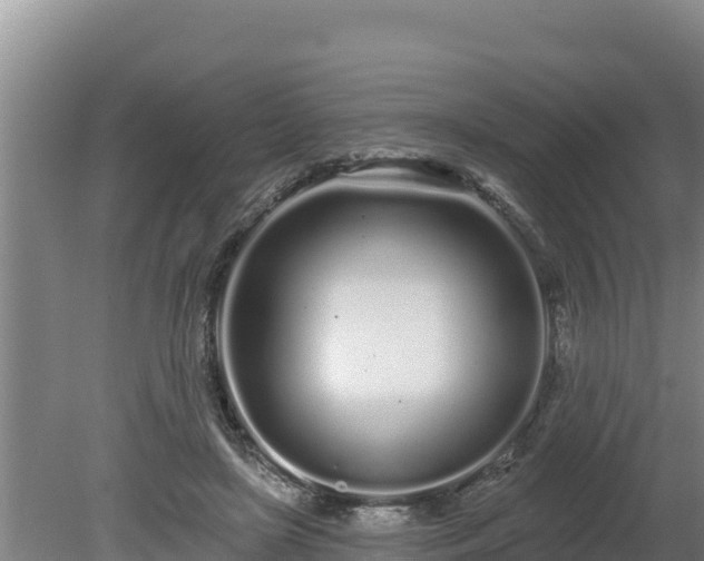 X0000080130451200612151743