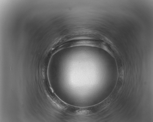 X0000080130452200612151743