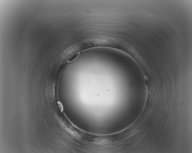 X0000080130454200612151743