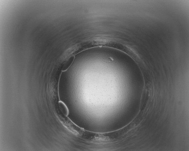 X0000080130455200612151743