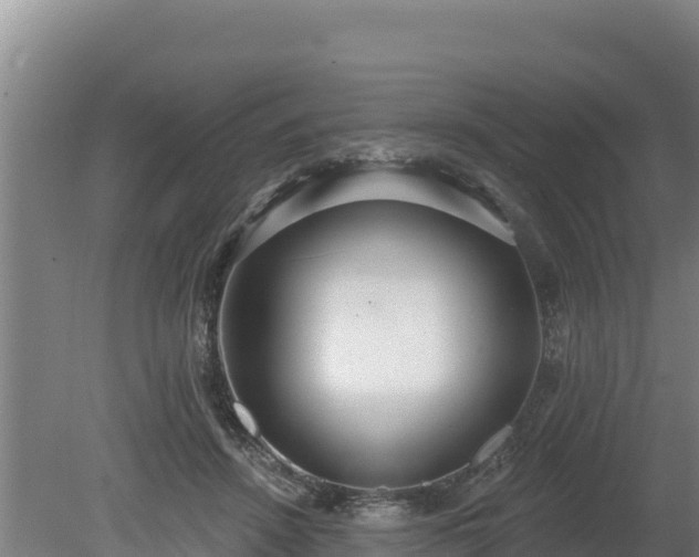 X0000080130456200612151743