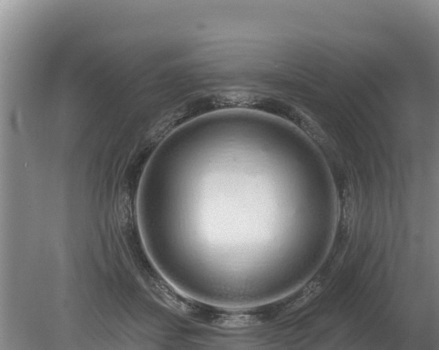 X0000080130459200612151743