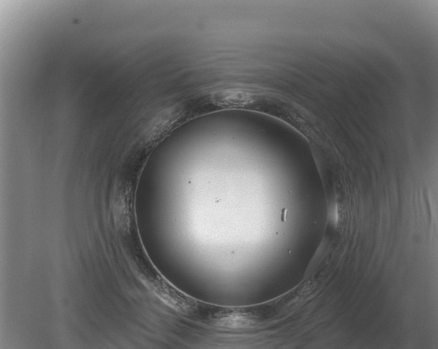 X0000080130460200612151743