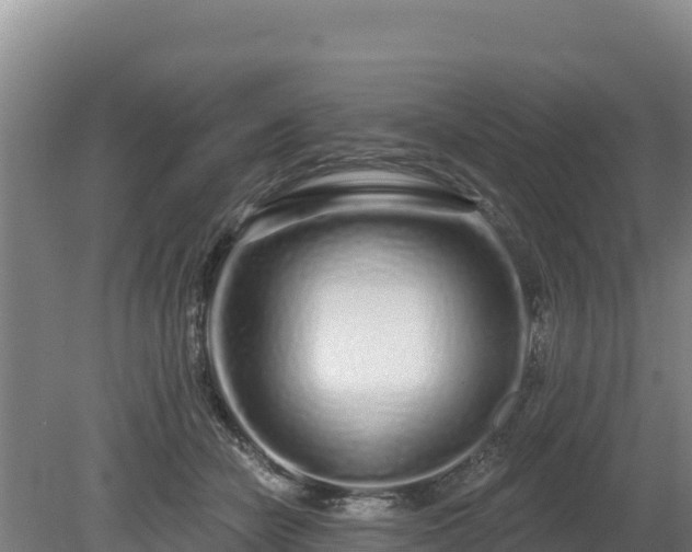 X0000080130462200612151743