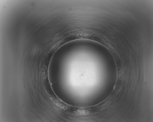 X0000080130464200612151743