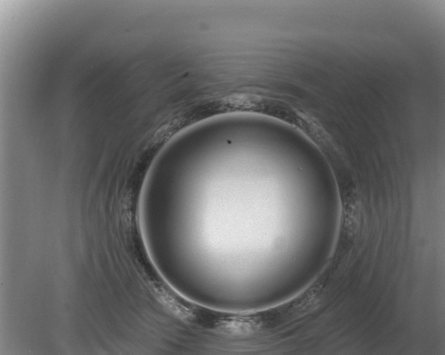 X0000080130466200612151743