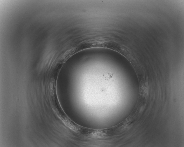 X0000080130468200612151743