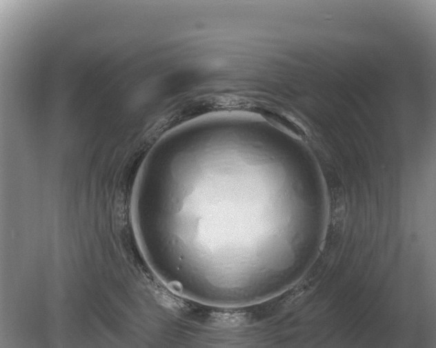 X0000080130469200612151743