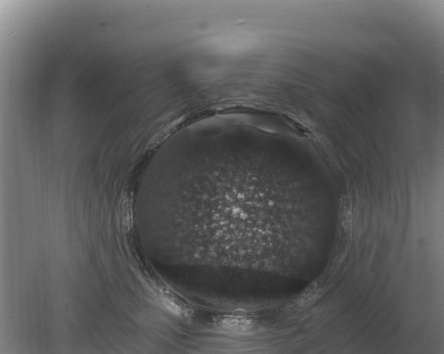 X0000080130471200612151743