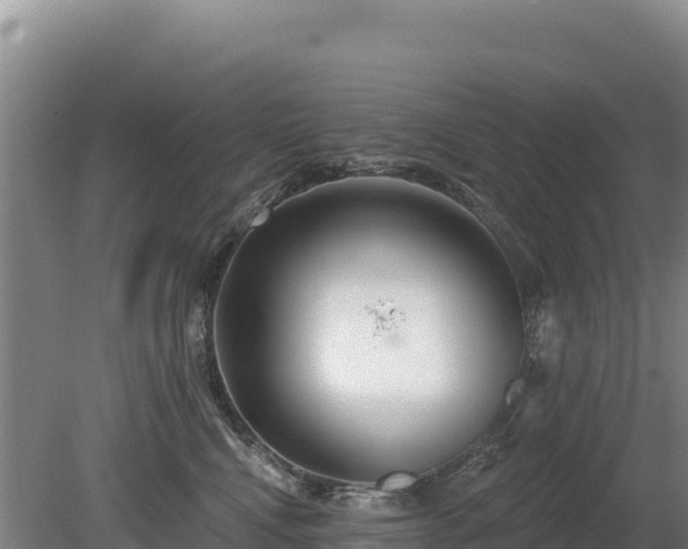 X0000080130472200612151743