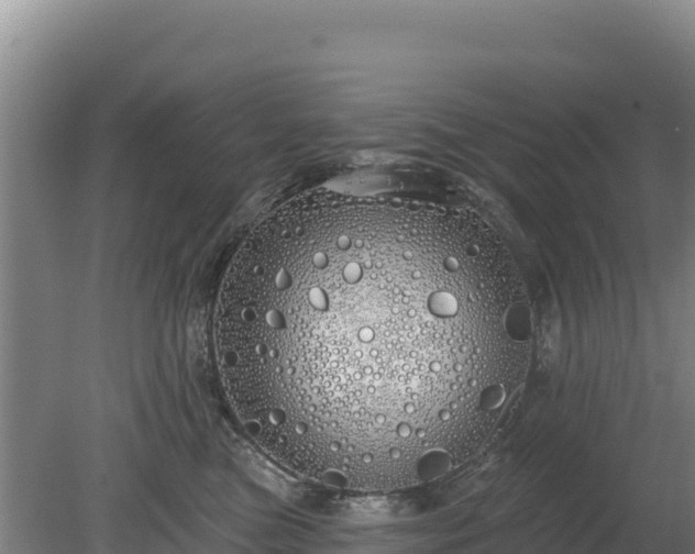 X0000080130473200612151743