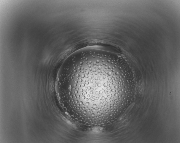 X0000080130474200612151743