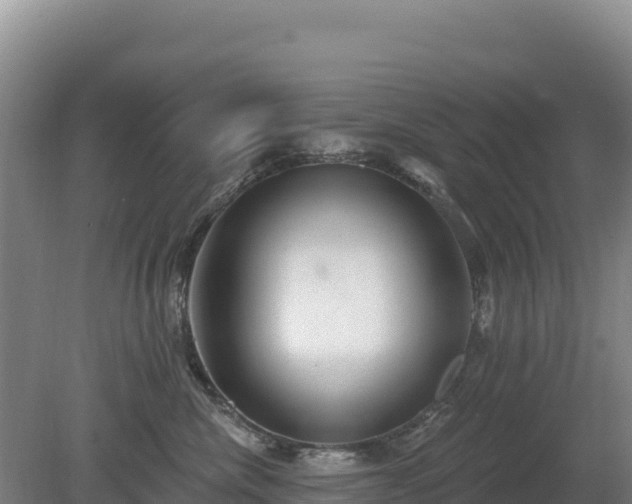 X0000080130476200612151743