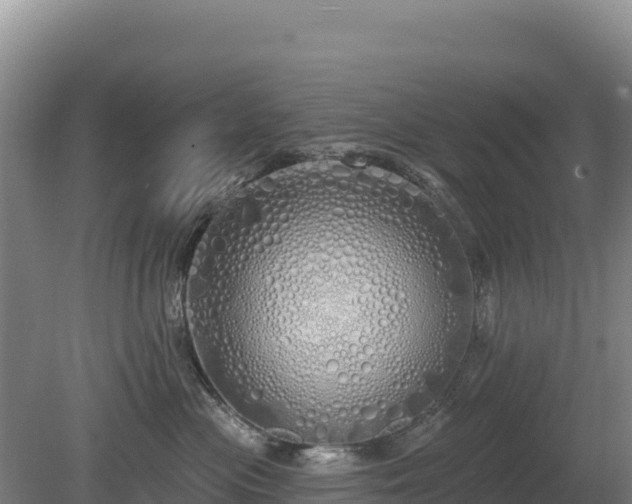 X0000080130477200612151743