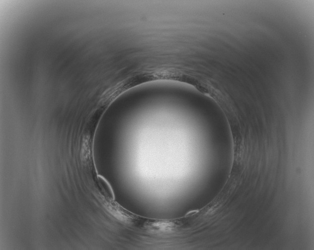 X0000080130478200612151743