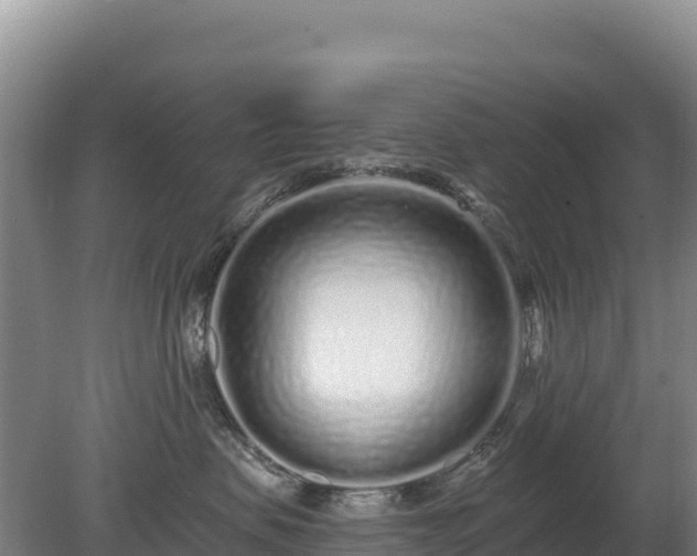 X0000080130479200612151743