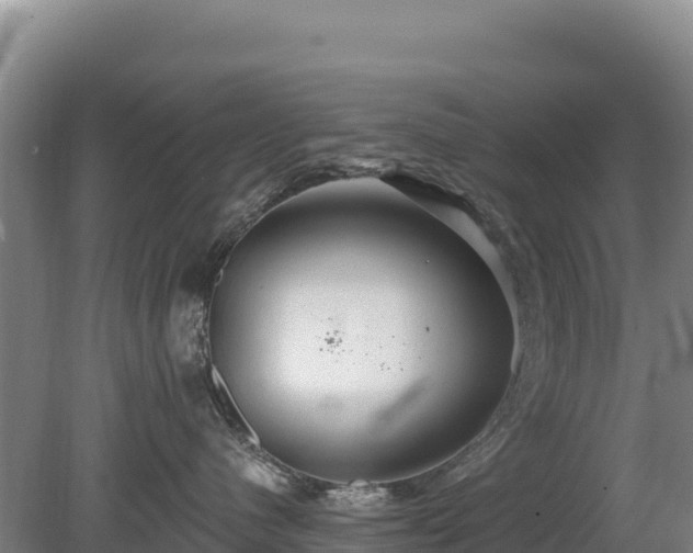 X0000080130480200612151743