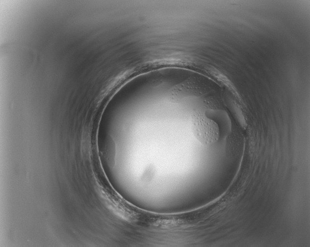 X0000080130482200612151742