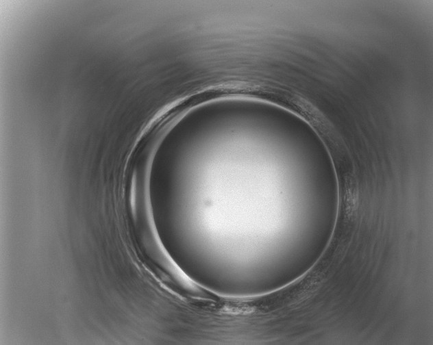 X0000080130484200612151742