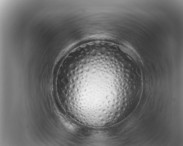 X0000080130486200612151742