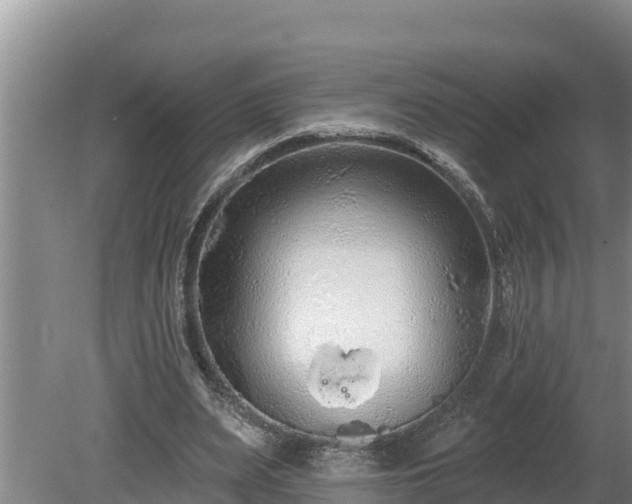 X0000080130487200612151742