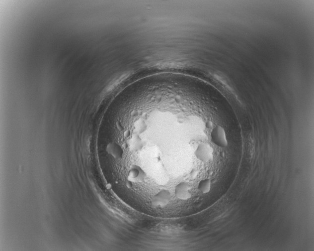 X0000080130491200612151742