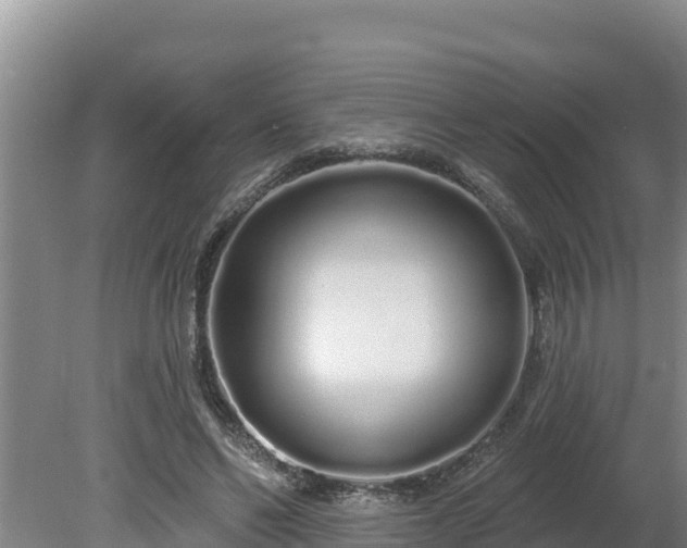 X0000080130494200612151742