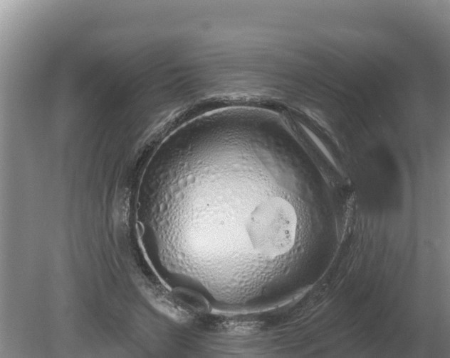 X0000080130495200612151742