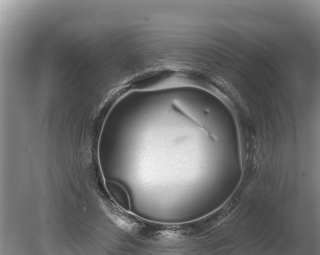 X0000080130496200612151742